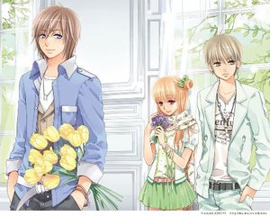 含羞草fi11跳转